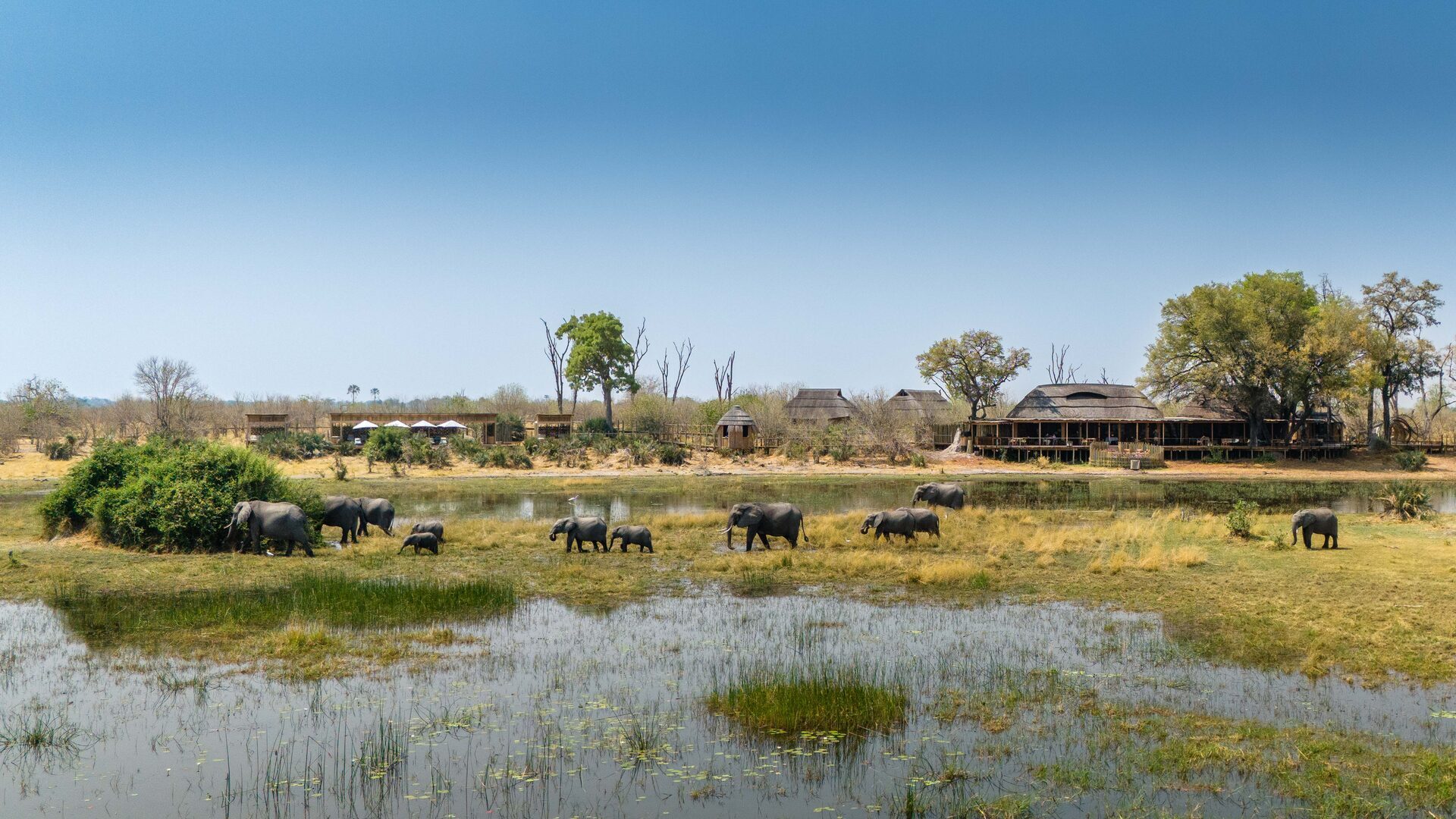 Natural Selection · Botswana